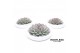 Arrangementen succulenten rootless echeveria pulidonis in tapir bowl 