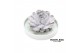 Arrangementen succulenten rootless echeveria mix in octopus bowl 