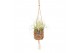 Tillandsia mix Kokodama Birdnest 7 cm Tillandsia mix 