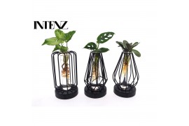 Kamerplanten mix Mix in Turijn glas + led - levertijd: 24 uur