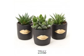 Succulenten TRULY Succulent, Lip Black
