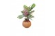 Calathea Kokodama 15 cm Calathea mix (No string) 
