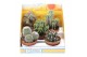 Cactus mix pv10001 