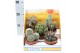 Cactus mix pv10001 