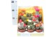 Cactus mix strobloem pv8006 in showdoos 