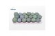 Echeveria mix Aqua mix 4 soorten 