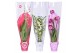 Orchidee mix 2 tak morelips valentine / womens day  met rode, witte en 
