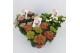 Hydrangea macr. mix special 5/6 bloem 