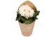Gerbera flori line wit in Pure Blooms draagtas eco 