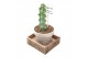 Cactus myrtillocactus gemetrizans cv fukurokuryuzinboku in white basal 