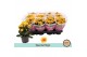 Kalanchoe bloss. signal yellow-red special sign 
