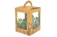 Cactus/succulenten mix in cardboard box 