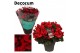 Begonia elatior en. betulia rood decorum,2 pp 