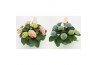 Hydrangea macr. magical revolution mix 7/8 flowers
