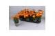Osteospermum margarita orange flare oranje 