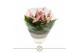 Anthurium lilli table schaal 