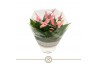 Anthurium lilli table schaal
