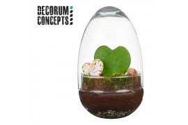 Arrangementen kamerplanten Terrarium Egg small II (Love edition) (Deco