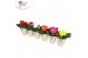 Gerbera colourgame mix 2+ in cup pure collection 25-30cm 