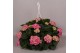 Hydrangea macr. hi river Hydrangea macr. 27cm Roze hangplant 20+ Bloem 