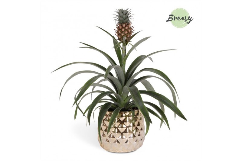 Ananas mi amigo Royal Crown Keramiek 