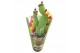 Opuntia ficus-indica inamoena in potcover with handle 
