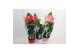 Anthurium andr. mix 6+ in keramiek 