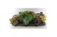 Succulenten mix 