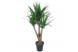 Yucca Vertakt 3-arm