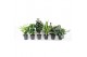 Kamerplanten mixkar Mix Basic p24 