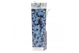 Vaccinium mix