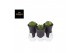 Cactus Gymno Cactus Spineless XXL 1 pp 
