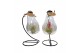 Tillandsia arrangement Tillandsia lamp frame 1 pp 