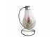 Tillandsia arrangement Tillandsia lamp frame 1 pp 