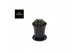 Gymnocalycum mihanovichii japan mix Gymno Cactus Green 