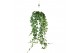 Hedera mein herz helix 17pp - 100cm Rank - Hangpot XXL 