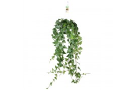 Hedera mein herz helix 17pp - 100cm Rank - Hangpot XXL