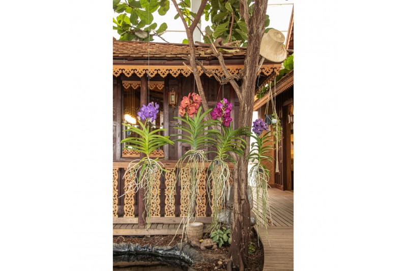 Vanda hybriden white 205 in champagne glas 