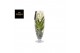Vanda hybriden white 205 in champagne glas 