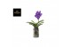 Vanda hybriden blue 231 in bose glas xl 