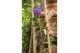 Vanda hybriden blue 231 in bose glas xl 