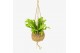 Kamerplanten mix groen Jungle Kokodama hangup 