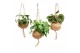 Kamerplanten mix groen Kokodama Dream mix hangup 