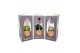 Succulenten mix Kokodama Gift Package 