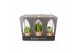 Succulenten mix Kokodama Gift Package 