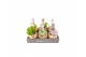 Succulenten mix Kokodama hangup 