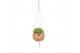 Succulenten mix Kokodama hangup 