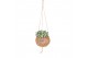 Succulenten mix Kokodama hangup 