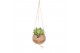 Succulenten mix Kokodama hangup 