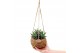 Aloe mix Kokodama 15 cm Aloe mix 